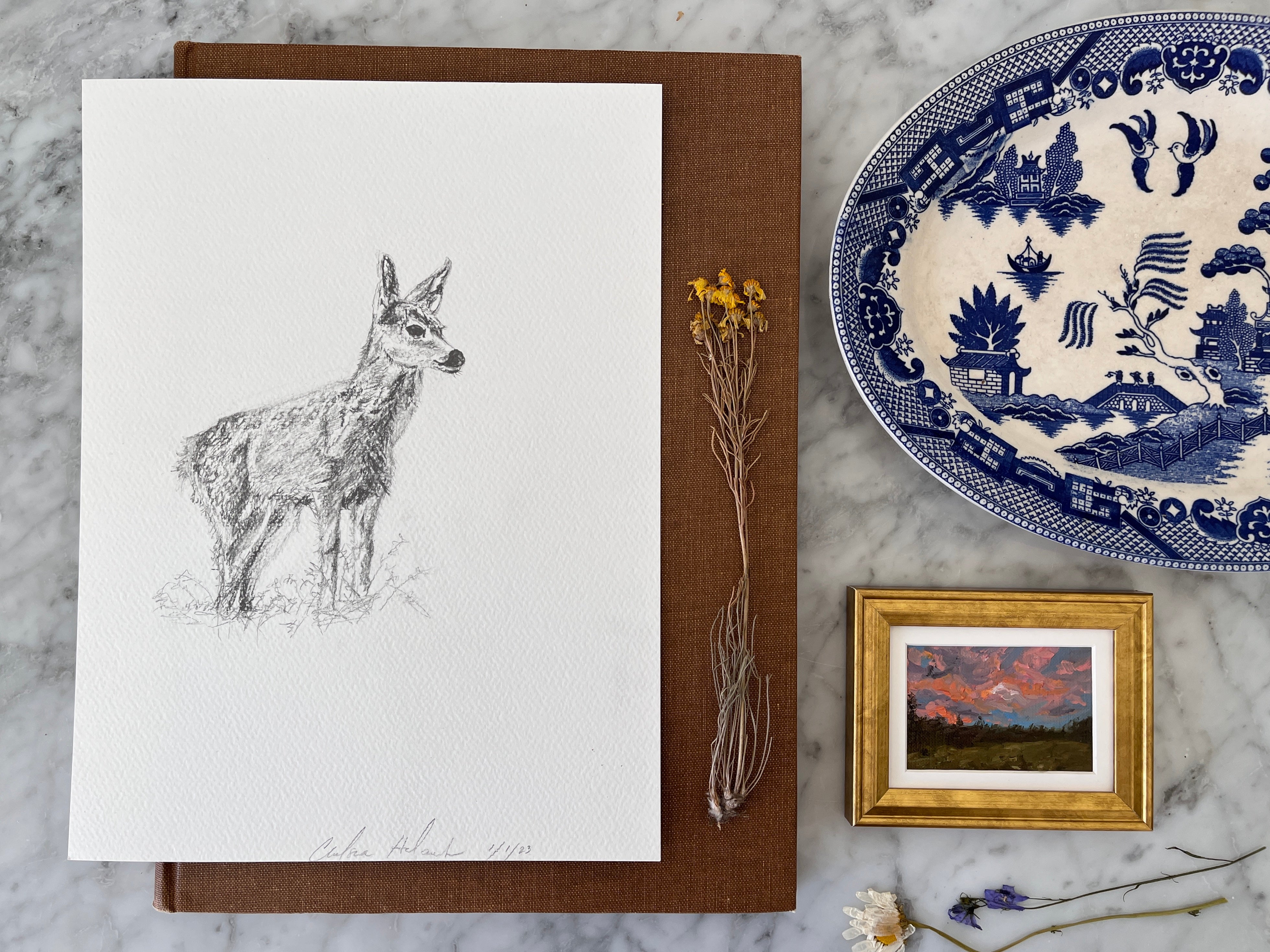 Fawn Sketch – Chelsea Holcomb Art